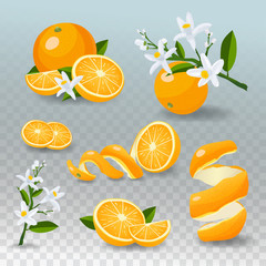 Fresh orange fruit set. Juicy oranges isolated on checked background.