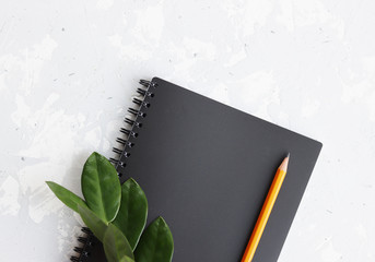 black notebook with a pencil and a green plant