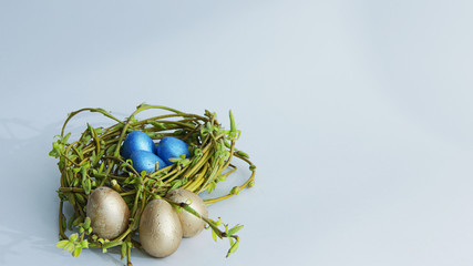 blue small eggs in the nest