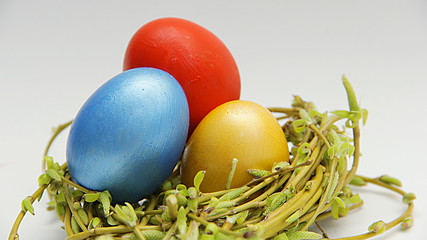 colorful Easter eggs in a nest of young willow branches