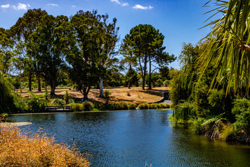 Obraz premium Views of the lake in the gardens. Auckland Botanical Gardens, Auckland, New Zealand