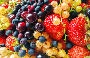 background of berries