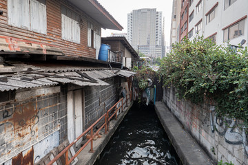 Fototapeta na wymiar sums of Bangkok,Thailand, river