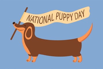 Merry dachshund carries a flag with the inscription National Puppy Day. Lovely animal, people best friend, favorite pet. National Dog Day. Colorful illustration cartoon style
