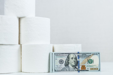 toilet paper rolls dollars  on a light background