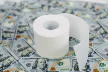 toilet paper rolls dollars  on a light background