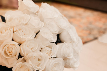 Soft focus. Delicate and beautiful tender cream roses.  Celebration. Gift