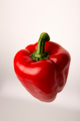 red bell pepper