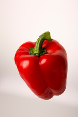 red bell pepper