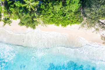Seychelles beach Mahé Mahe island vacation drone view aerial photo from above