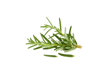 Rosemary isolated on white background