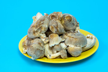 Shiitake Mushrooms on plate .  It is considered a medicinal mushroom in some forms of traditional medicine