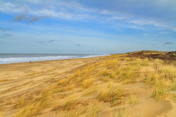 Fototapeta na wymiar Beautiful seaside landscape - coast of South Holland with grass covered sand dunes, the Netherlands