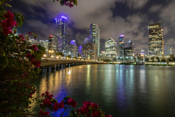 Miami Night Sky