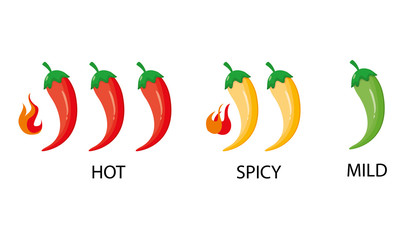 Modern vector illustration of spicy red chili pepper strength scale. Spice level marks. Mild, Spicy, hot and Hell. Chili level labels.