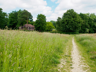 Fototapeta na wymiar cottage in the fields