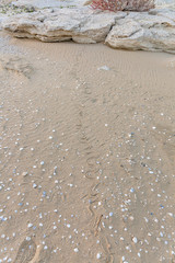 Traces of snake in the sand. Sand Texture. Background from brown sand. selective focus
