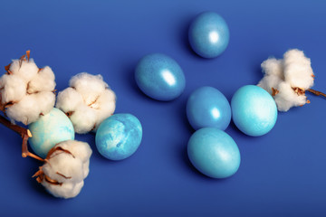 Beautiful easter composition with colored eggs and cotton flowers on a blue background.