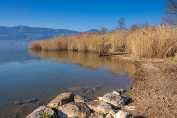 Beautiful coastal landscapes along the shores of the Upper Zurich Lake, Rapperswil-Jona, Sankt Gallen, Switzerland