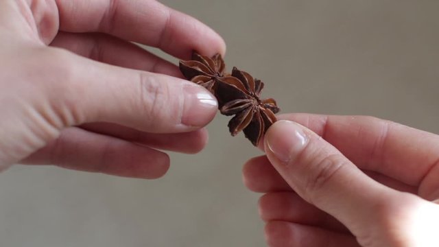 young woman holding star anise in her hand