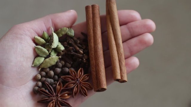 young woman holding cinnamon, cardamom, cloves, black aroma pepper, star anis in her hand