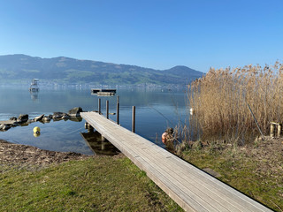 Beautiful coastal landscapes along the shores of the Upper Zurich Lake, Rapperswil-Jona, Sankt Gallen, Switzerland