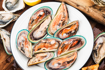 Assorted fresh shellfish-Green Mussels, Oysters, Scallops