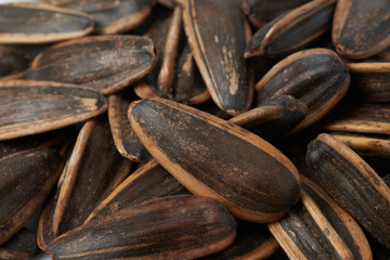 Sunflower seeds Popular eating around the world