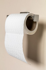 Toilet paper running out on chrome hanger