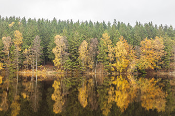 Small forest lake on a sunny autumn morning in Soderasen national park, Sweden.