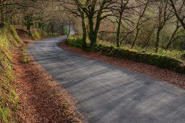 Secondary Road in the Countryside