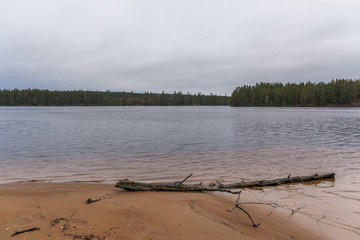 Lake, calm water, forest reflection in the water, cloudsAutumn landscape. Sweden.