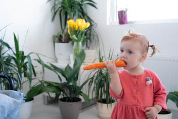 Obraz na płótnie Canvas Cute red hair baby girl with big eyes in red dress eating carrot. Pretty beautiful funny kid with vegetable. Yellow flowers background. White light.