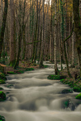 Long exposure of a creek in a forest in the swiss jura mountains