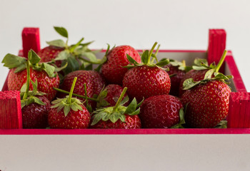 Fresh,ripe strawberries in mini wooden box on white background with copy space.