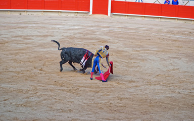 Bullfighting show at its height