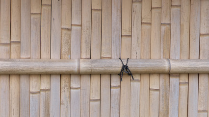 Background of a wall made of bamboo sticks lined up side by side.
