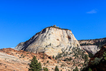 Amazing View to the Forest Mountains of Zion National Park, Utah, USA