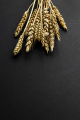 A bunch of wheat ears on the black background with copy space.Vertical image.