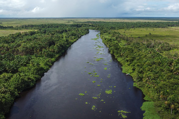 Fototapeta na wymiar Great river of the Orinoco Delta