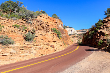 Forest Highway in the Zion National Park, Utah, USA