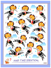 Logic puzzle game for children and adults. Find two identical hoopoes. Printable page for kids brain teaser book. Developing spatial thinking skills. IQ training test. Flat vector cartoon image. © nataljacernecka