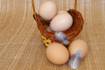 Eggs and chicken eggs. Chicken eggs with feathers, on the cloth of sacking in a wicker basket. Agricultural products, natural eggs. Healthy eating concept.