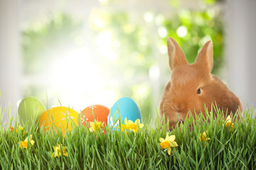 Adorable bunny and Easter eggs on green grass