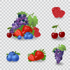 Fresh berries vector illustration. Healthy diet concept. Organic berries.