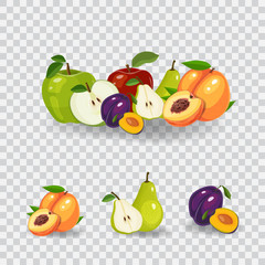 Fresh fruits vector illustration. Healthy diet concept. Organic fruits and berries. Mix of fruits on white background vector illustration. Fresh fruits concept