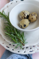 Quail eggs and rosemary on white vintage plate