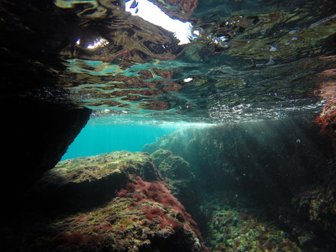 bajo el agua