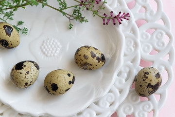 Quail eggs and wild flowers on white vintage plate