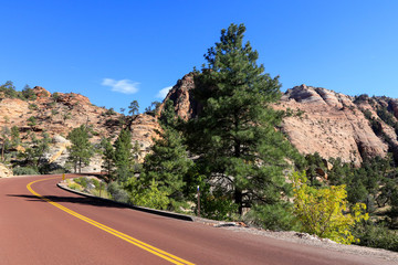 Fototapeta na wymiar Forest Highway in the Zion National Park, Utah, USA